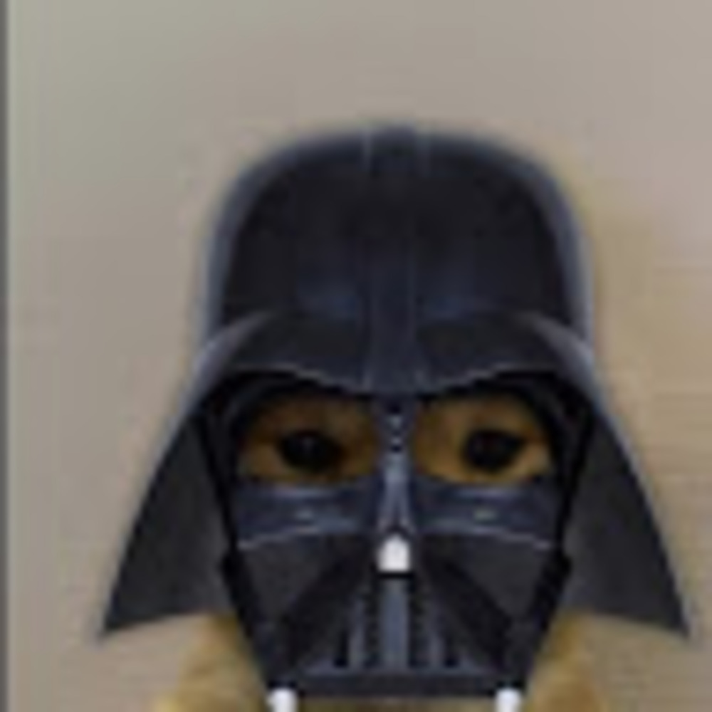 Meet your Posher, Abstrakt